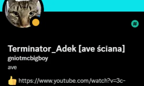 Konieczność Zbanowania Użytkownika "Gniot" z Serwera Discord "Wyłomowa"