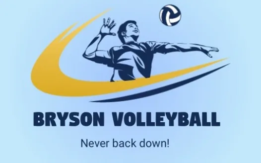 Request for a Bryson Volleyball Court