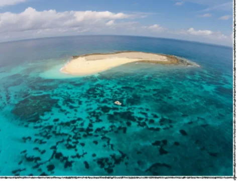 Latham belongs to Zanzibar