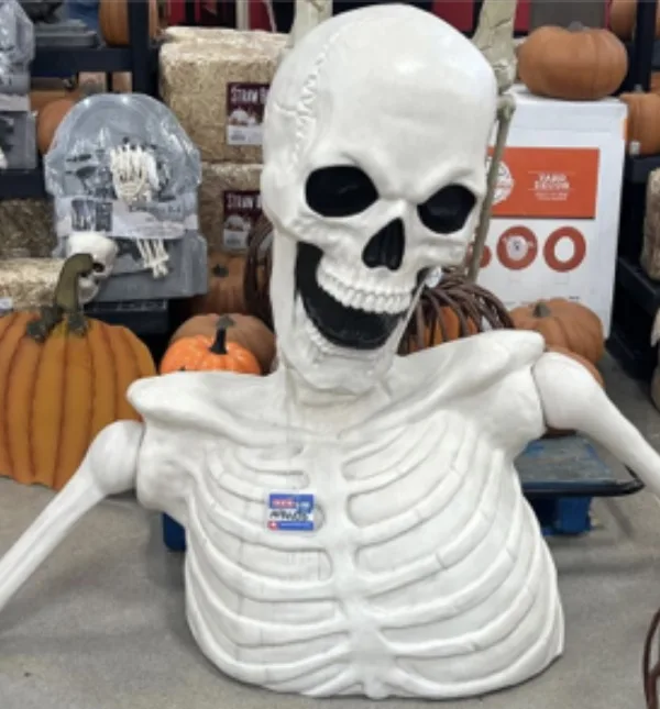 Bob the Skeleton