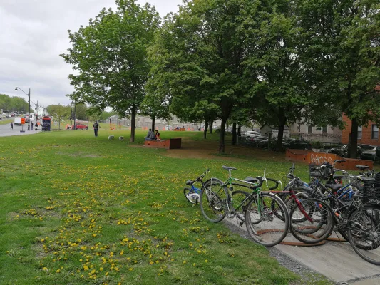 Protégeons l’espace vert Léo-Pariseau | Protect the Leo-Pariseau Green Space (Milton-Parc)