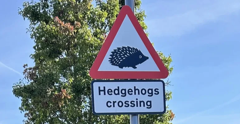 Hedgehogs Crossing! Let’s make it official…