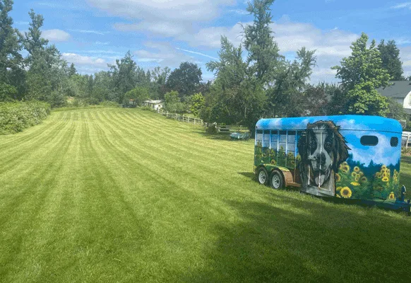 Petition in favor of a dog park in Vallejo