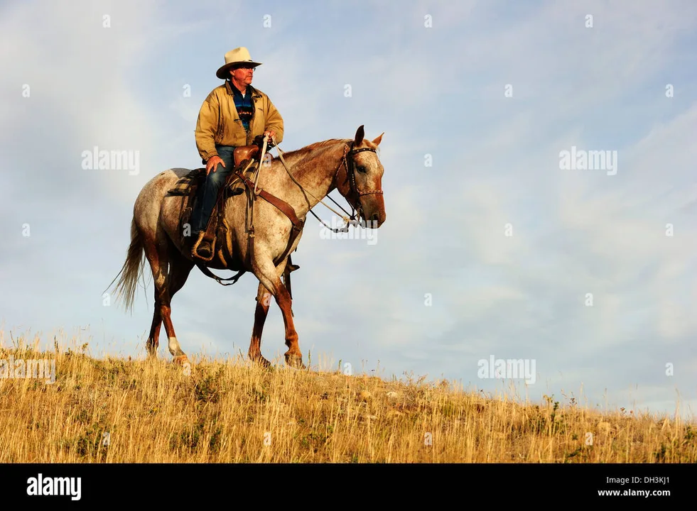 Petition for the Creation of a "National Day of the Cowboy" in Canada