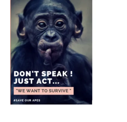 HELP US TO SAVE APES!
