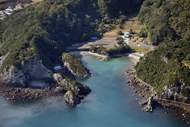 Save the Dolphins of Taiji