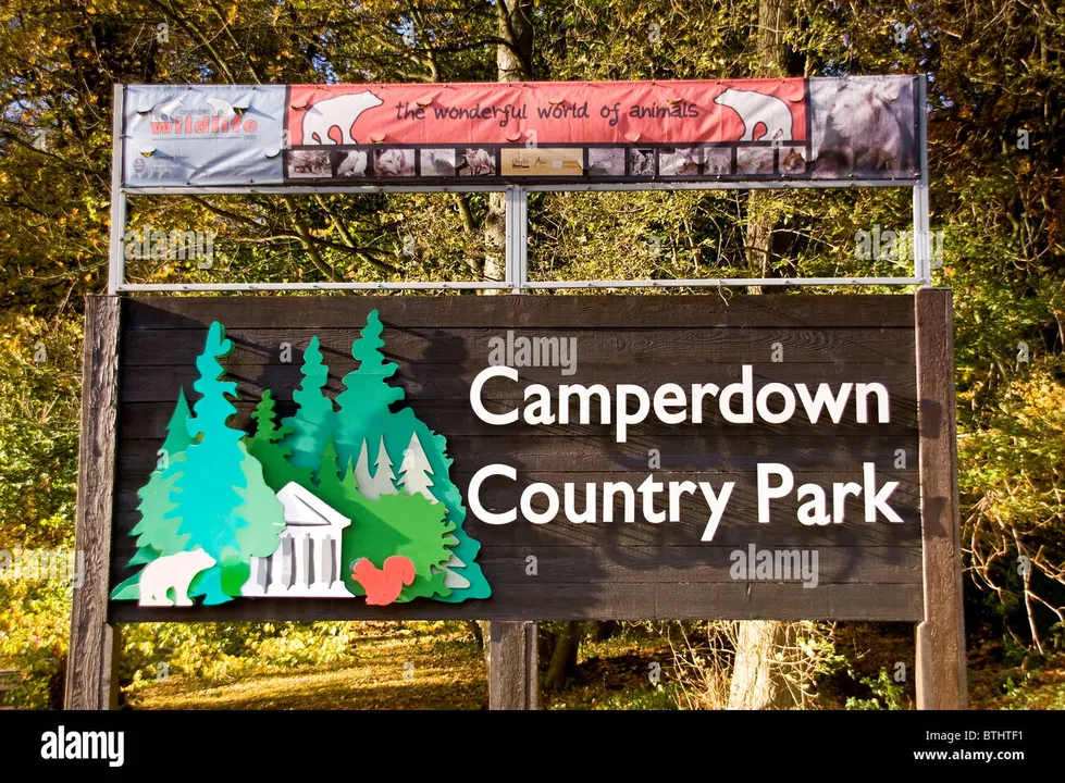Camperdown Park Attack