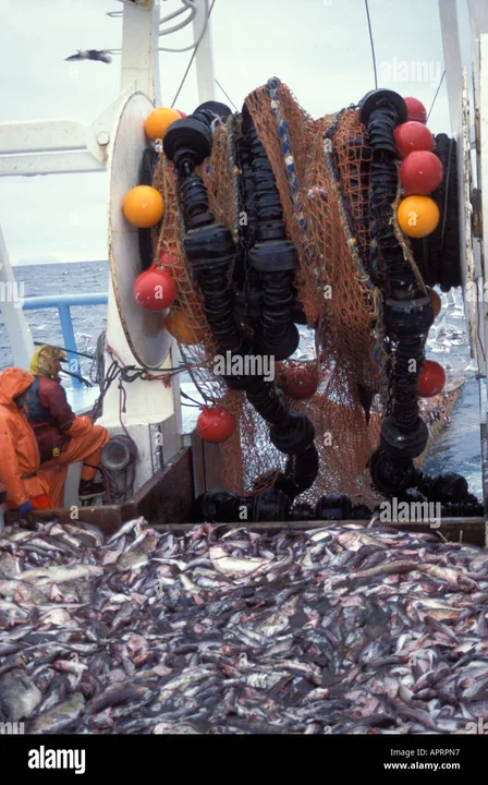stop massacring our fish protect them