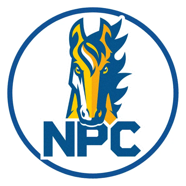 Make NPC Football Great Again