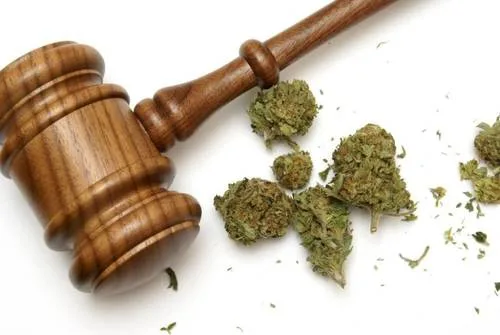 Decriminalizing Drug Use