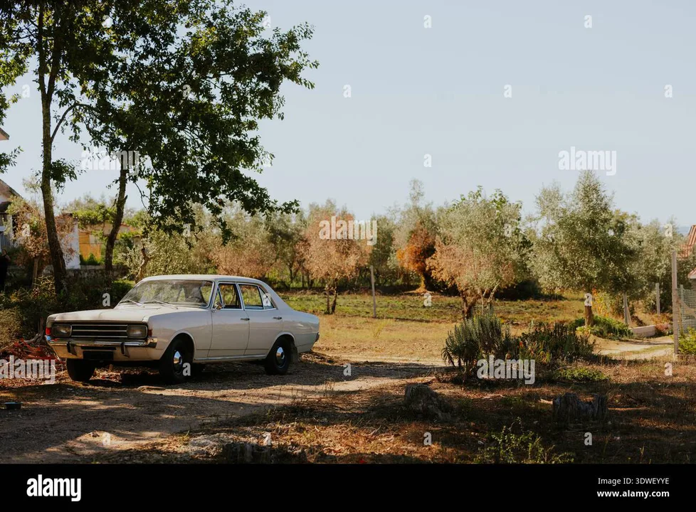 Let Tom Stander keep his vehicles