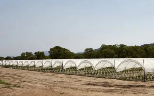 PROTECT LOCAL SANTA BARBARA FARMERS