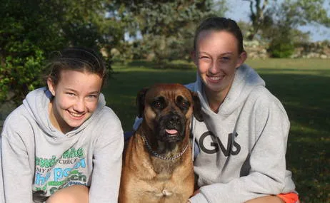 please mom can we get a dog