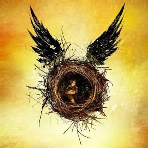 HARRY POTTER AND THE CURSED CHILD ON DVD / BLU-RAY