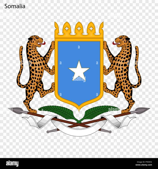 Somali president should resign