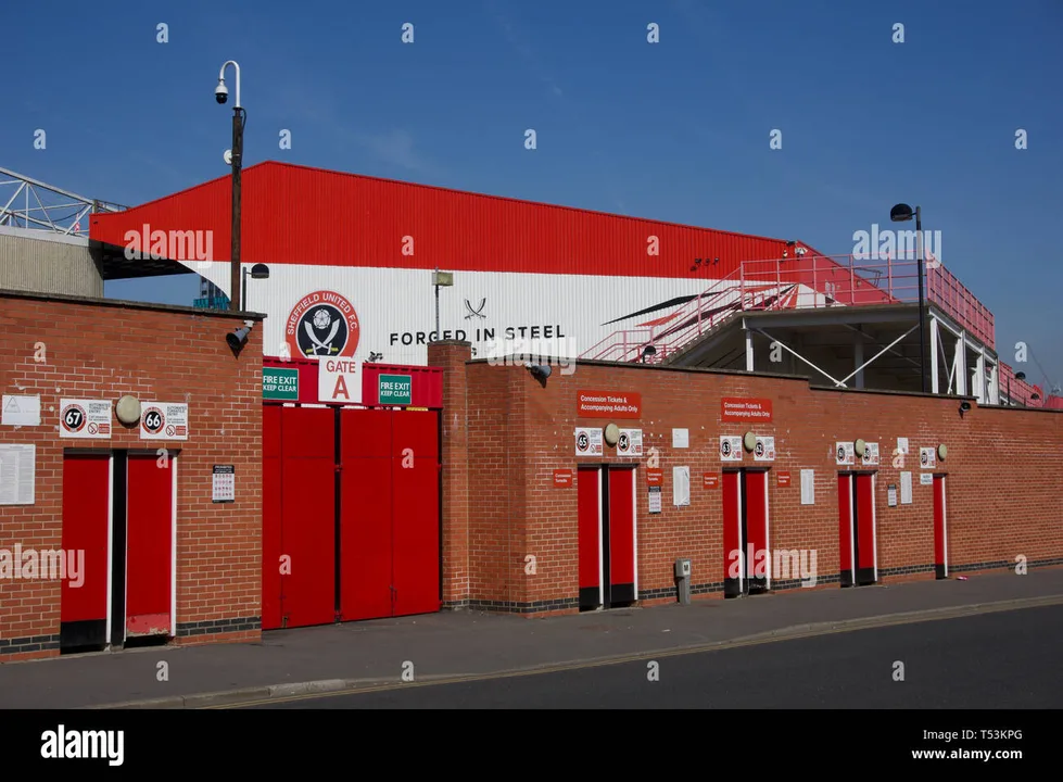 Petition to get rid of Tom Hark from Bramall Lane
