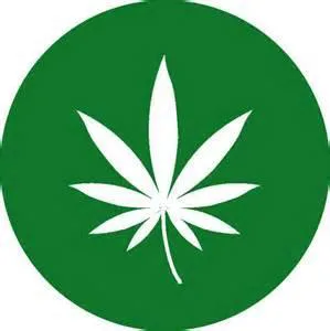 Legalize Medical Marijuana
