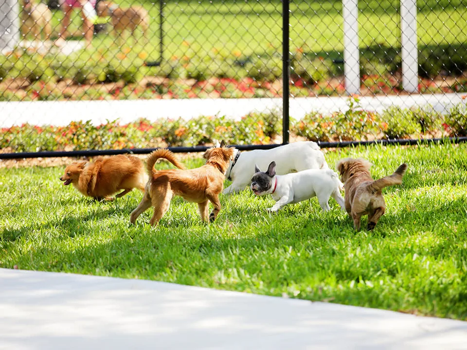 Brunswick County Off-Leash Dog Park