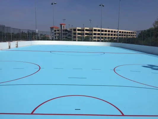 Petition to Build a Street Hockey Rink in Easton, MA