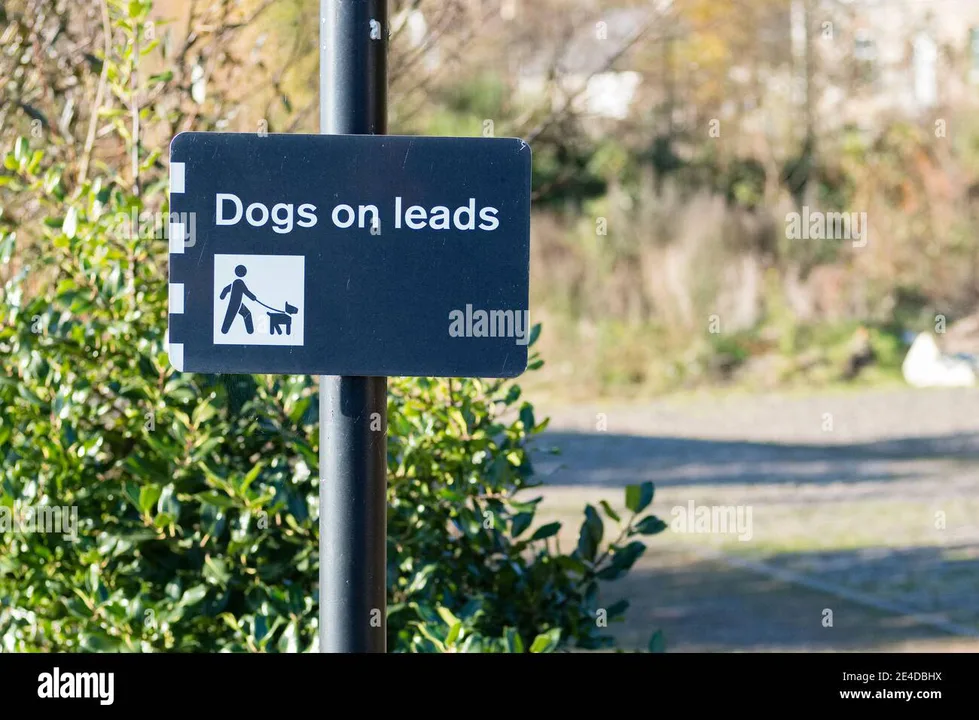 Dog control orders in Brent, London