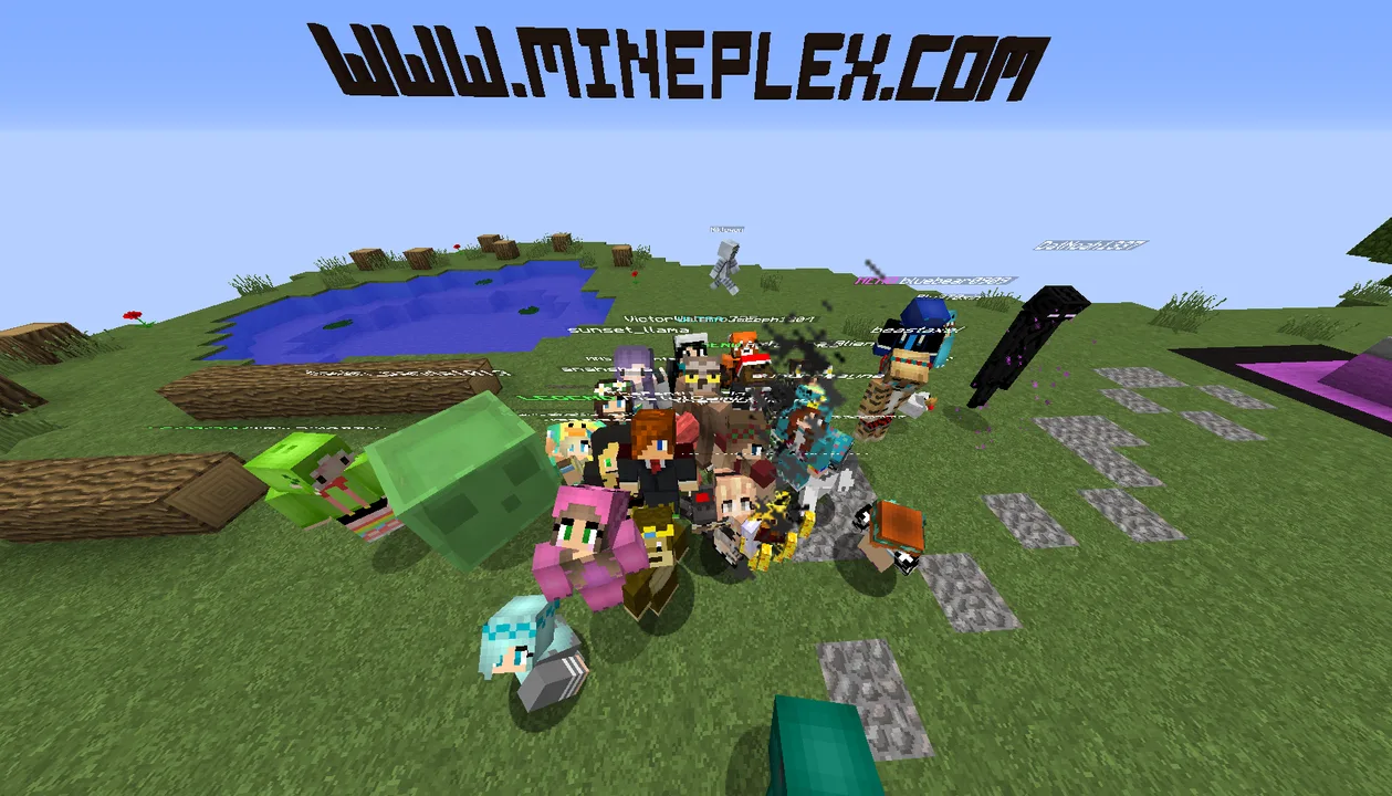 Equal Treatment On Mineplex