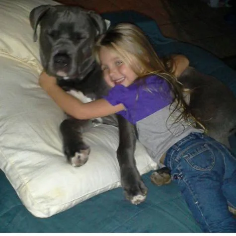 Justice for Dozer-Conklin, NY