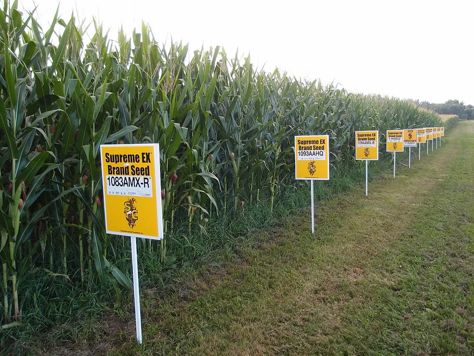 GMO free Langley BC!!