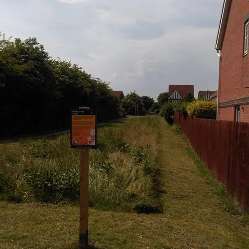 Removal of Biodiversity area from Holystone thoroughfare