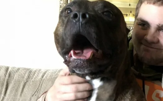 GOOD BOY GUNNAR