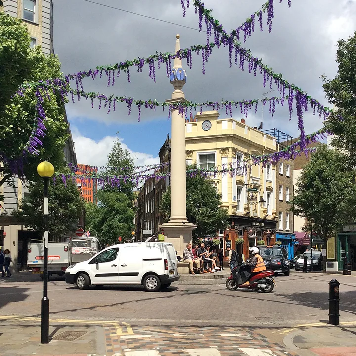 Save the 7 Dials Elm Tree