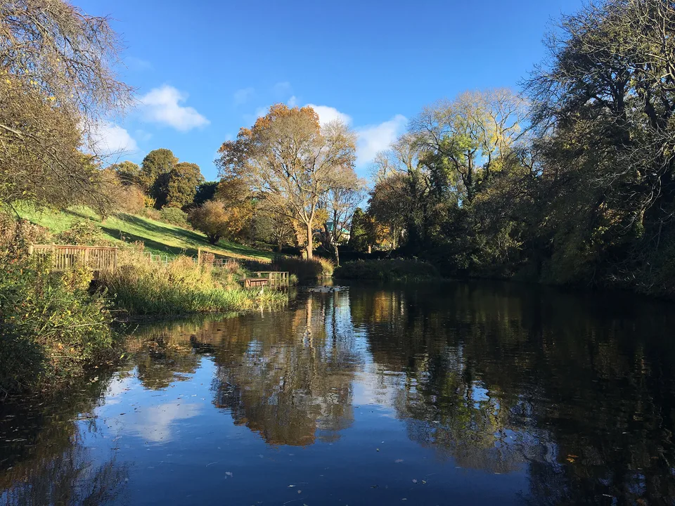 Dogs allowed off lead in Old Sneed Park