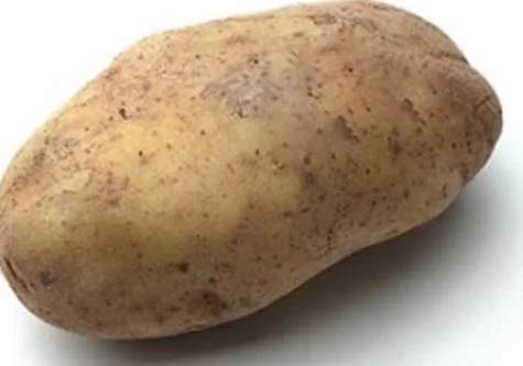 Wawa, sell potatoes