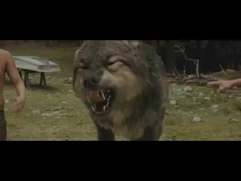 Michael Copon for Paul in New Moon....