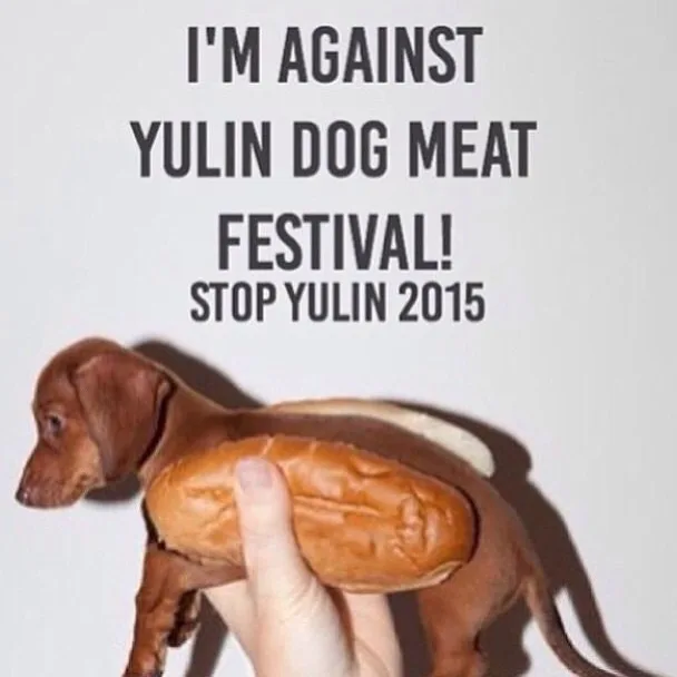 Stop Yulin 2015!