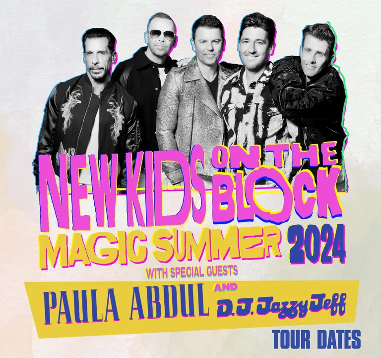 New Kids on the Block Reunion