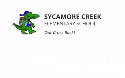 Get Better Signals for our School Zone