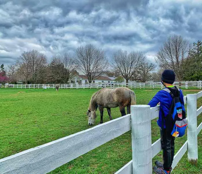 PLEASE HELP US SAVE ELLIS EQUESTRIAN CENTER FROM CLOSING