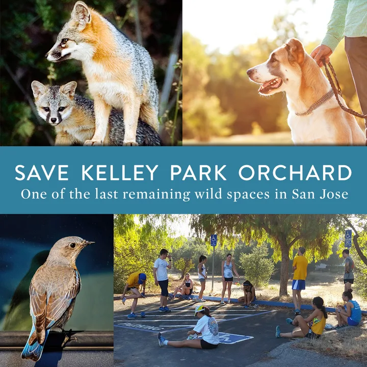 Save Kelley Park Orchard from Development (San Jose, CA)