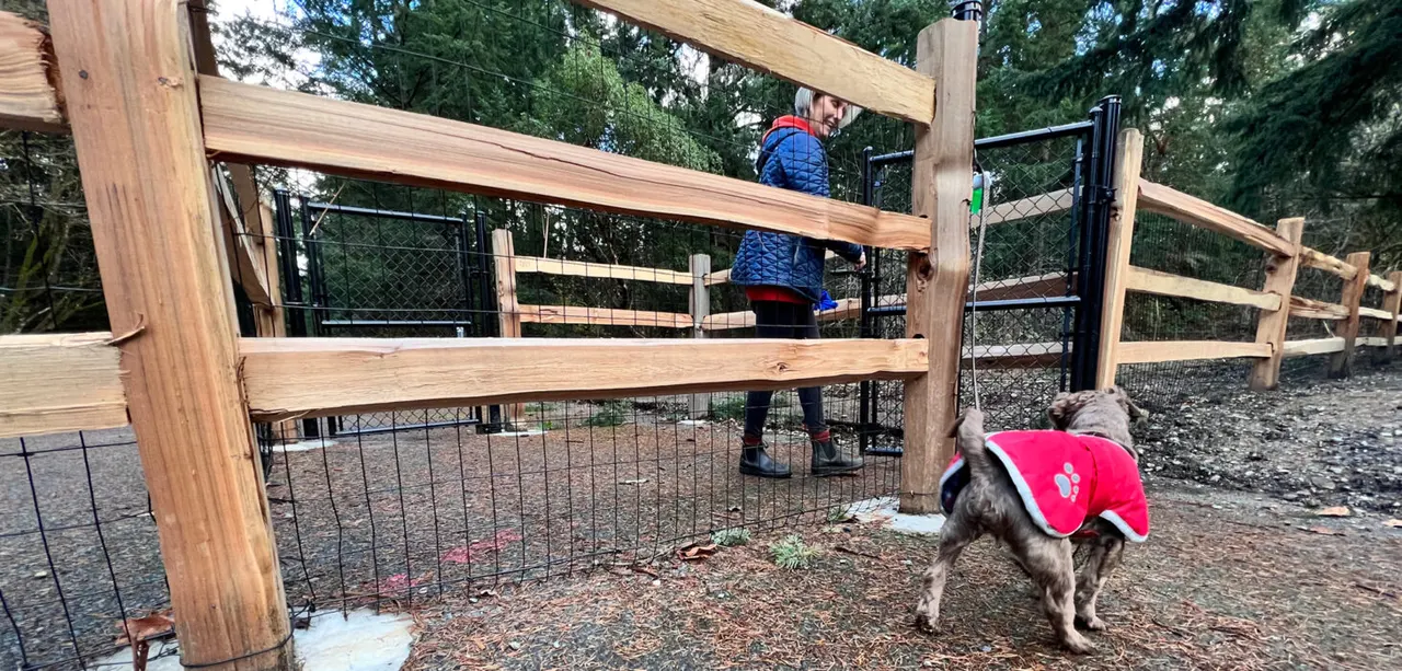 Budd Street Morristown NJ Dog Park