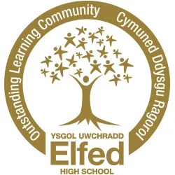 Save Our School - Petition to save Elfed High School