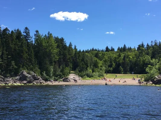 Save Tucker Park
