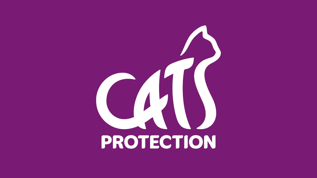 Appoint Mr.Peter Simmonds as Co-Ordinator of Maidenhead Slough & District Branch Cats Protection