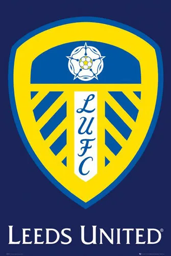 Jermaine beckford to stay at Leeds United