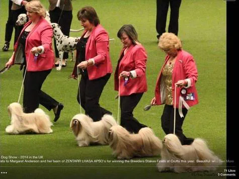 Keep the Breeder's Competition