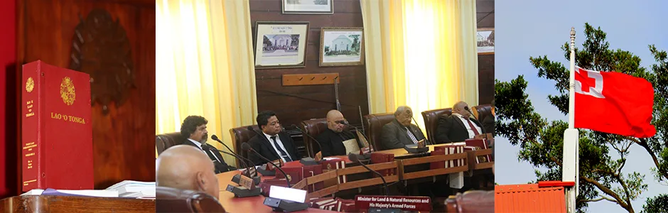 TOHI TANGI 'A E KAKAI KE VETEKI E FALE ALEA -PETITION TO DISSOLVE GOVERNMENT