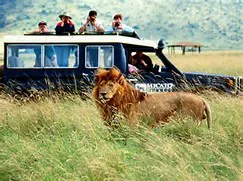 Take Maxey and Whitney on the safari!