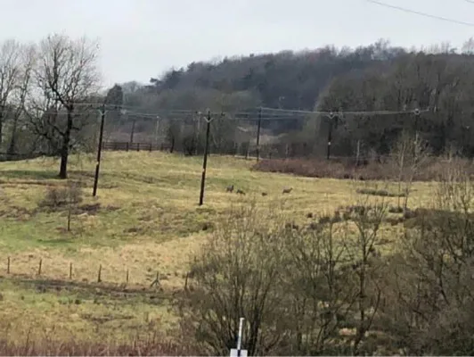 Protect Our Green Belt - Holmeswood Park / Townsend Fold / New Hall Hey
