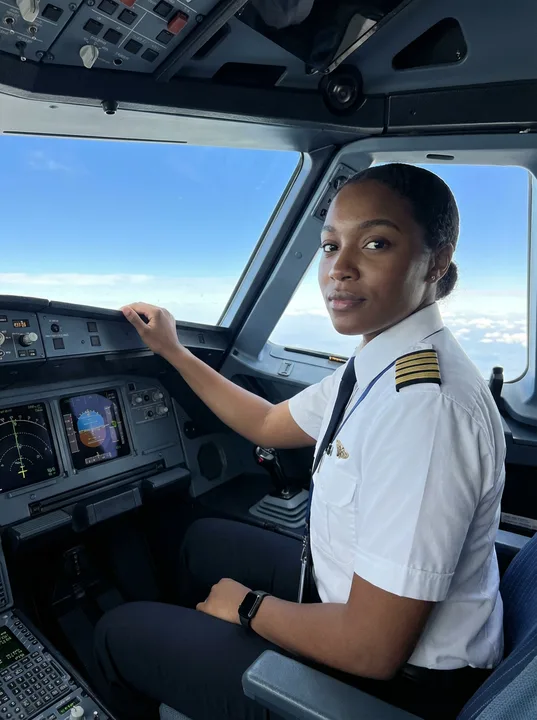 PETITION FOR AIRLINES SEASON 2 ( WE WANT IT BACK!)