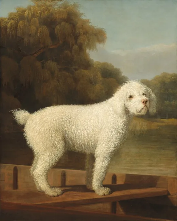 Give Barbie a real life poodle