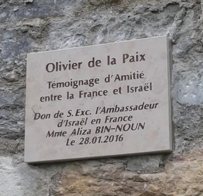 Retrait de la plaque de "l’amitié France Israël", du musée de l’histoire de Lyon